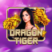 Dragon Tiger Paldo Plus